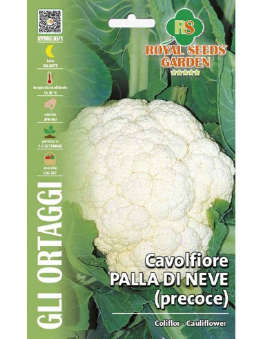 CAVOLFIORE PALLA DI NEVE PRECOCE MAXI