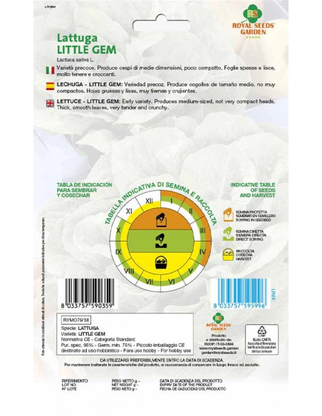 LATTUGA LITTLE GEM MAXI