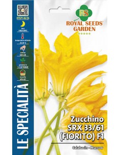 SEMI ZUCCHINO da fiore varietà speciale fioritura abbondante