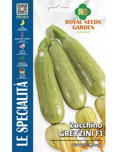 SEMI ZUCCHINO GREYZINI HY F1 Frutti allungati e teneri