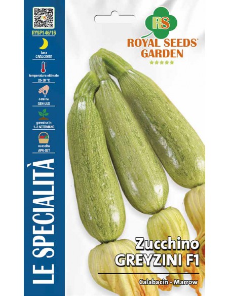SEMI ZUCCHINO GREYZINI HY F1 Frutti allungati e teneri