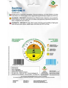 SEMI ZUCCHINO GREYZINI HY F1 Frutti allungati e teneri 2