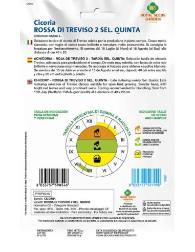 SEMI DI CICORIA ROSSA TREVISO 2 SELEZIONE QUINTA