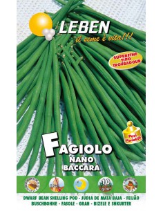 SEMI FAGIOLO NANO BACCARA' baccelli lunghi e senza filo