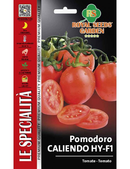 SEMI DI POMODORO CALIENDO HY-F1 resistenza malattie