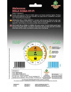 SEMI MELANZANA BELLAROMA F1 frutto grande e rotondo 2