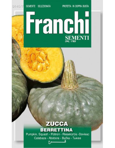 ZUCCA D.HORNO (PIACENTINA BERRETTINA)