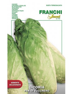 SEMI DI CICORIA PAN DI ZUCCHERO Foglie croccanti, gustose