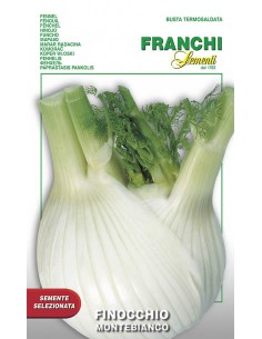 SEMI FINOCCHIO MONTEBIANCO grumoli grandi e saporiti