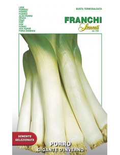SEMI DI PORRO GEANT D'HIVER 2 Porri giganti, gusto delicato