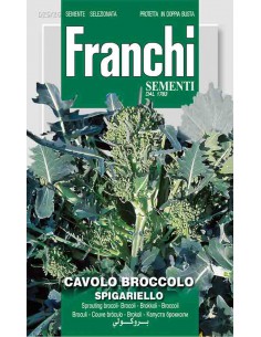 SEMI DI CAVOLO BROCCOLO SPIGARIELLO cimette tenere
