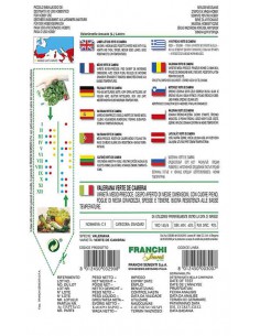 SEMI VALERIANA VERDE DE CAMBRAI sapore delicato 2