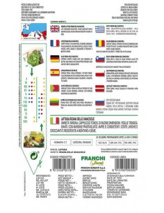SEMI LATTUGA REGINA DEI GHIACCI foglie grandi e croccanti 2