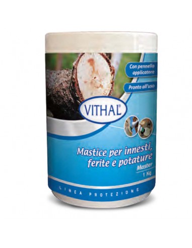 MASTICE CICATRIZZANTE LACBALSAM 1 kg