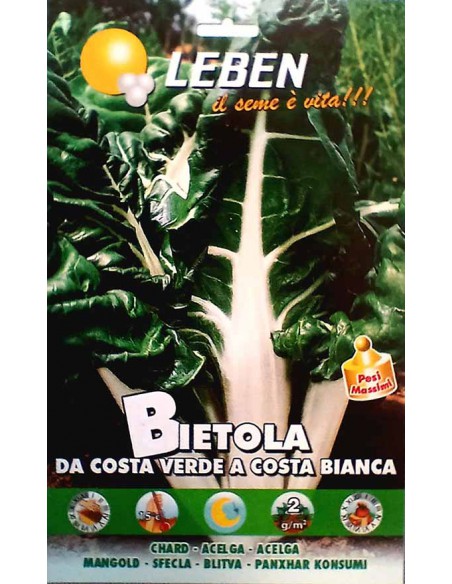 SEMI DI BIETOLA DA COSTA VERDE A COSTA BIANCA