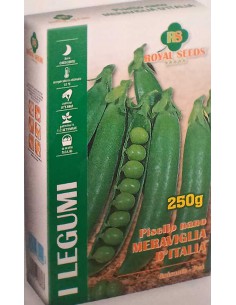 SEMI PISELLO MERAVIGLIA D'ITALIA precoce, sapore dolce