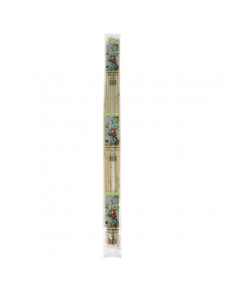 CANNA BAMBOO CONFEZIONE DA 10 PEZZI ALTEZZA 76 CM