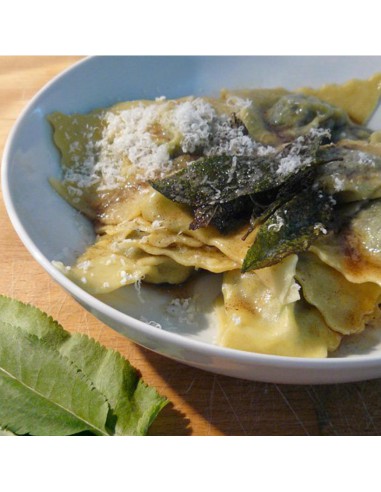 ERBA DI SAN PIETRO diametro vaso 14 cm