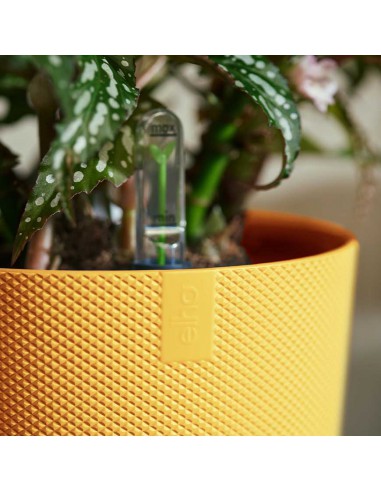 COPRIVASO ELHO JAZZ ROUND AMBER YELLOW