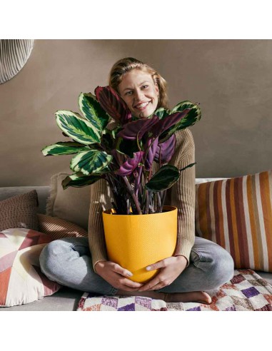 COPRIVASO ELHO JAZZ ROUND AMBER YELLOW