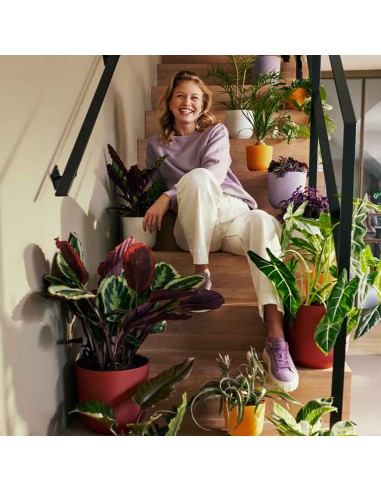 COPRIVASO ELHO JAZZ ROUND AMBER YELLOW