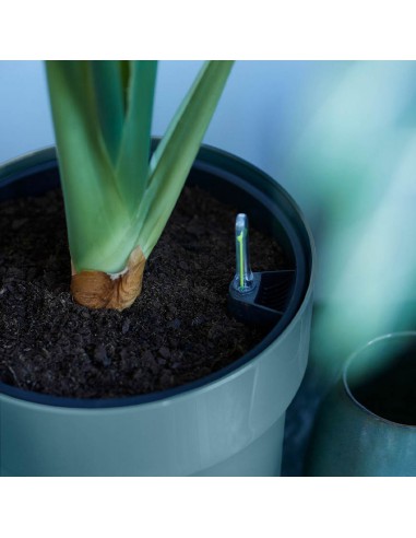 COPRIVASO ELHO B.FOR ORIGINAL ROUND GRIGIO AZZURRO