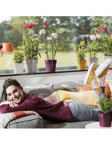 COPRIVASO ELHO B.FOR ORIGINAL ROUND GRIGIO AZZURRO