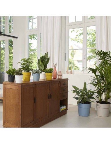 COPRIVASO ELHO B.FOR ORIGINAL ROUND GRIGIO AZZURRO