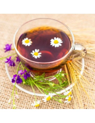 LAVANDA ANGUSTIFOLIA AD ALBERELLO in vaso 19 cm