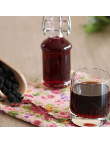 MIRTO diametro vaso 14 cm