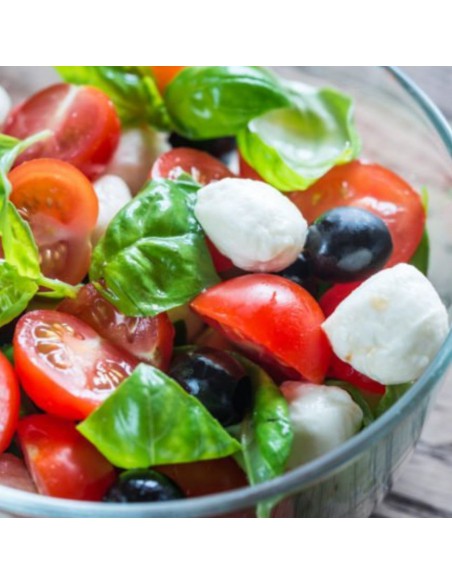 PIANTA DI BASILICO perfetta per i tuoi piatti estivi