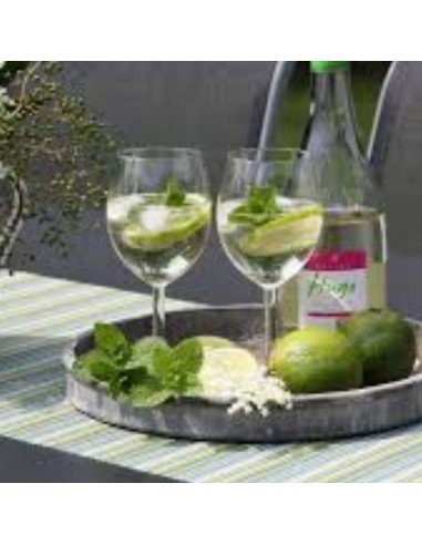 MENTA SPICATA "HUGO" Freschezza per i Tuoi Cocktail e Piatti