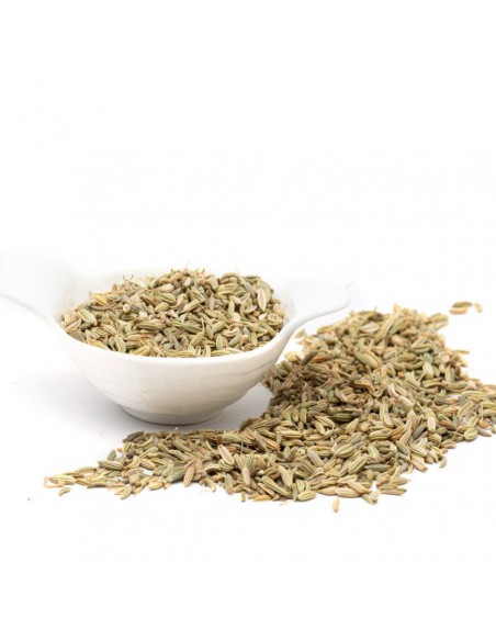 FINOCCHIO SMOCK in vaso diametro 14 cm