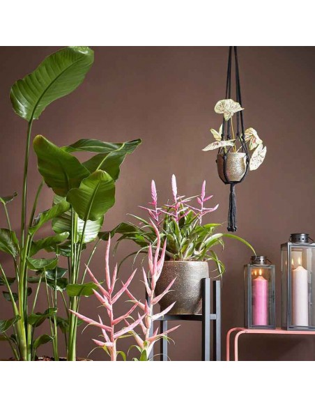 APPENDINO DECORATIVO PER PIANTE - H140XD15CM