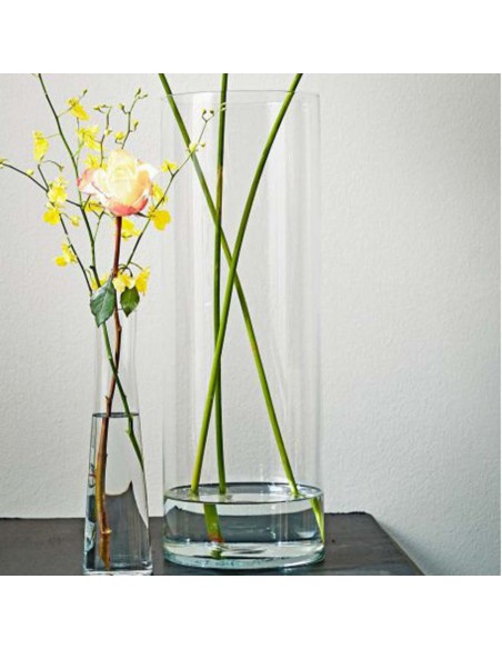 VASO CARLY VASE CYLINDER GLASS PER I TUOI FIORI