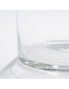VASO CARLY VASE CYLINDER GLASS PER I TUOI FIORI 2