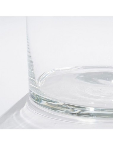 VASO CARLY VASE CYLINDER GLASS PER I TUOI FIORI