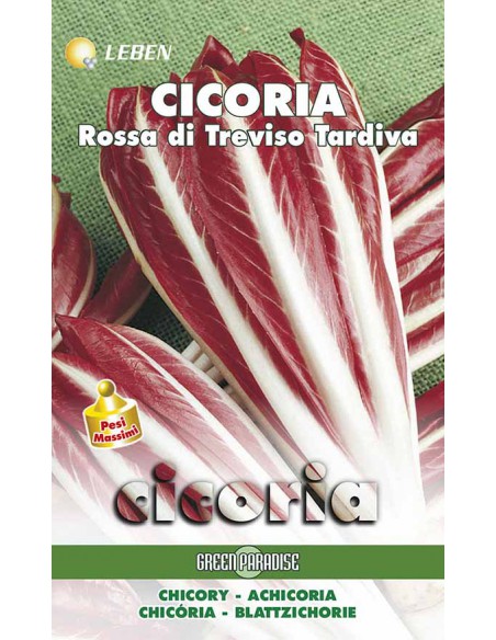 SEMI DI CICORIA ROSSA TREVISO TARDIVA
