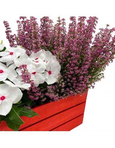 CASSETTINA DUE VASI NORRIS LEGNO colore rosso