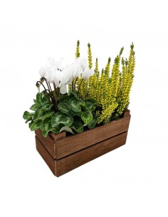 CASSETTINA DUE VASI NORRIS LEGNO COLORE MARRONE