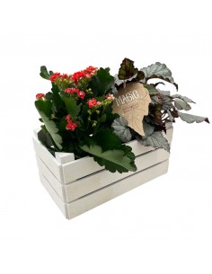 CASSETTINA DUE VASI NORRIS LEGNO colore bianco