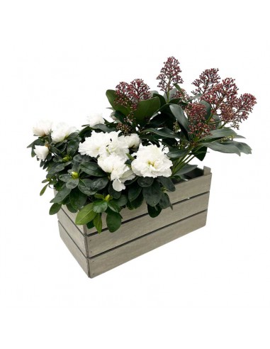 CASSETTINA DUE VASI NORRIS LEGNO colore grigio