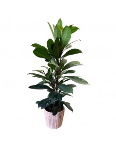 COPRIVASO COLORE MARRONE/GRIGIO-CASPO' GIACINTO