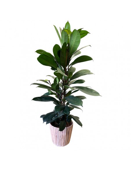 COPRIVASO COLORE MARRONE/GRIGIO-CASPO' GIACINTO