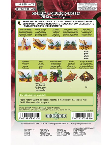 SEMI DI CICORIA GRUMOLO ROSSA facile da coltivare