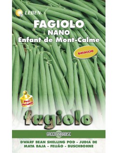 SEMI FAGIOLINO NANO ENFANT DE MONT-CALME