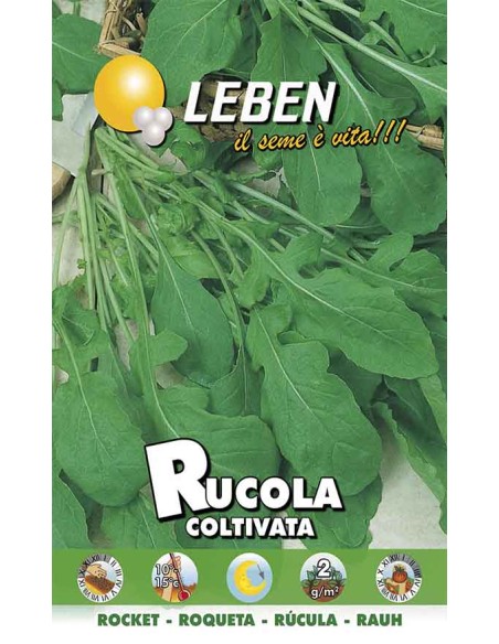 SEMI RUCOLA COLTIVATA Sapore deciso, perfetta per insalate