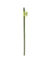 CANNA BAMBOO PLASTIFICATA COLOR VERDE H60 CM
