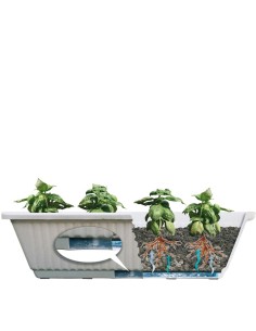 ORTOVASO PER COLTIVAZIONE IN TERRAZZO DI PIANTE