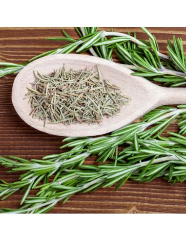 PIANTA DI ROSMARINO SERPILLO Strisciante e tappezzante